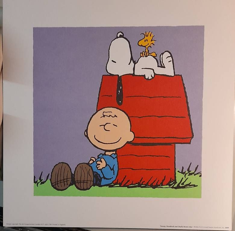 Posters & Illustrations: Snoopy Bild – Neuf avec emballage d'origine à Biel/Bienne par ros_8r9j 1