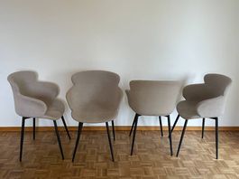 4 moderne Esszimmerstühle von Pfister, Top Zustand!