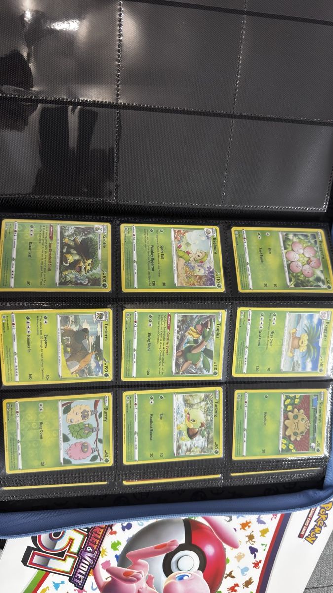 Pokémon Carte collezionabili: Pokemon SWSH Brilliant Star Full Set – Nuovo (secondo la descrizione) da Bäriswil BE venduto da shinix42 1