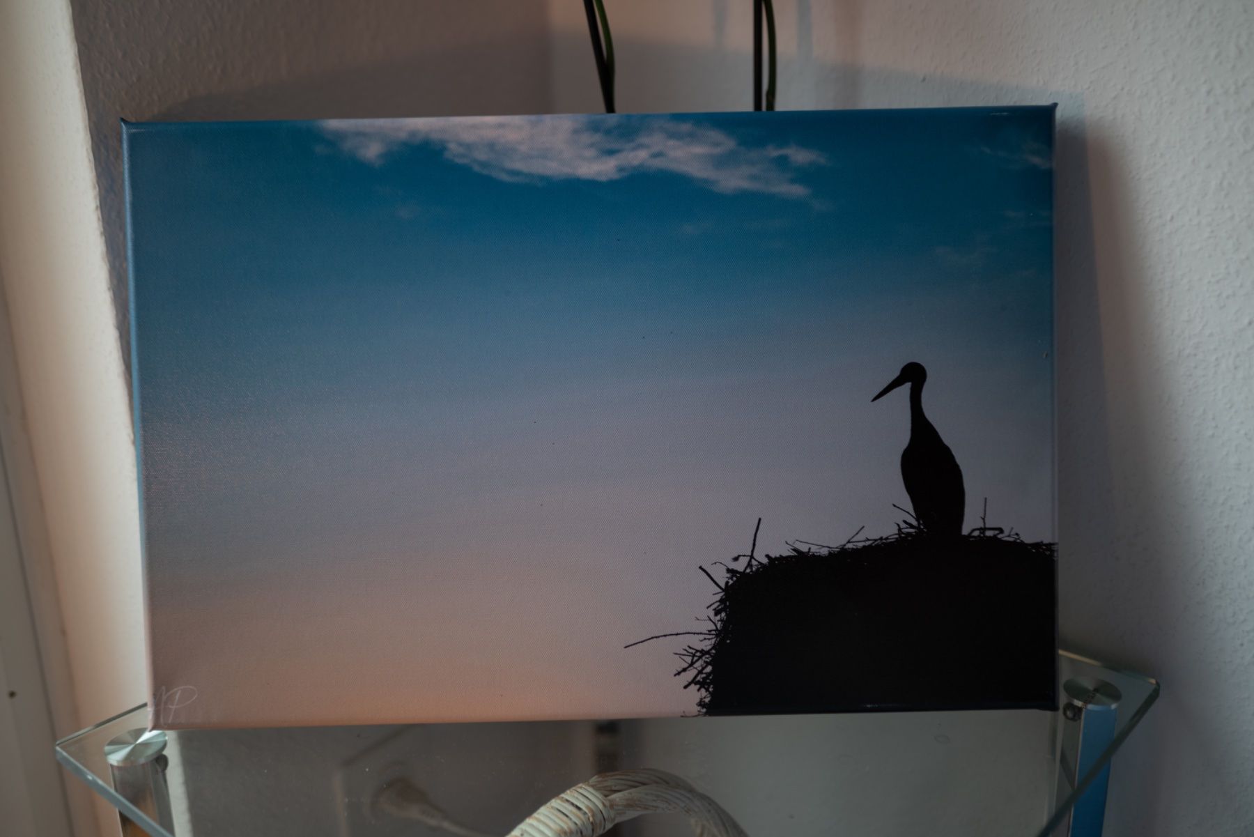 Foto & Immagini: Stork on a house – Nuovo (secondo la descrizione) da Zürich venduto da andrei4three 3