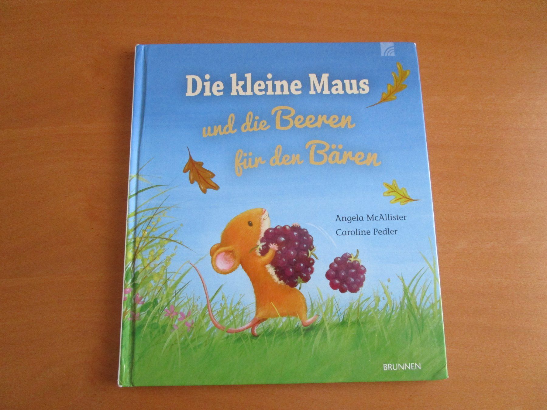 Bücher: Kinderbuch: Die kleine Maus – Gebraucht aus Langenthal von majarose