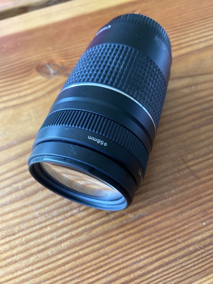 Canon Obiettivi: Canon Zoom Lens EF 75-300 mm – Usato da Schmitten FR venduto da noa_vm8b 3
