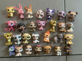 Collection / set pet shop 
