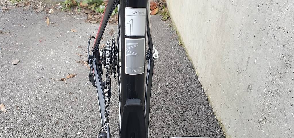 Biciclette: Giant Avail Liv carbone M Compact – Usato da Chamoson venduto da mas_f2tv 1