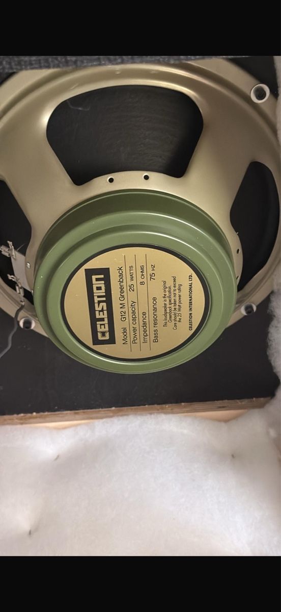 Amplificatori: Blackhole 2x12 Greenbacks 16 Ohm – Usato da RUBIGEN venduto da Iel1 4
