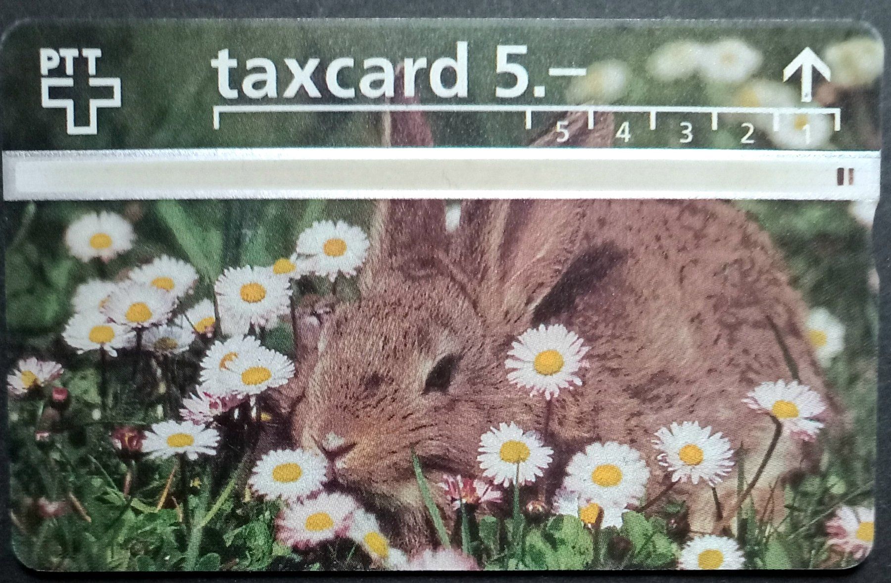 Swisscom Schede telefoniche: Taxcard - Kaninchen - CH – Usato da Niederuzwil venduto da lubimaja