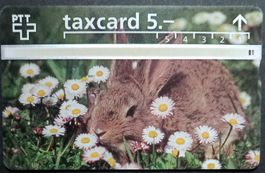 Taxcard - Kaninchen - CH