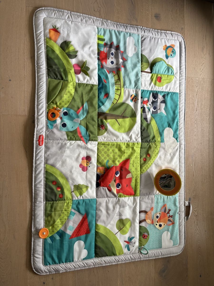 Fisher-Price Spielmatte: Tiny Large Love Play Mat Activity Blanket for Babies – Gebraucht aus Männedorf von aztamindenet 1