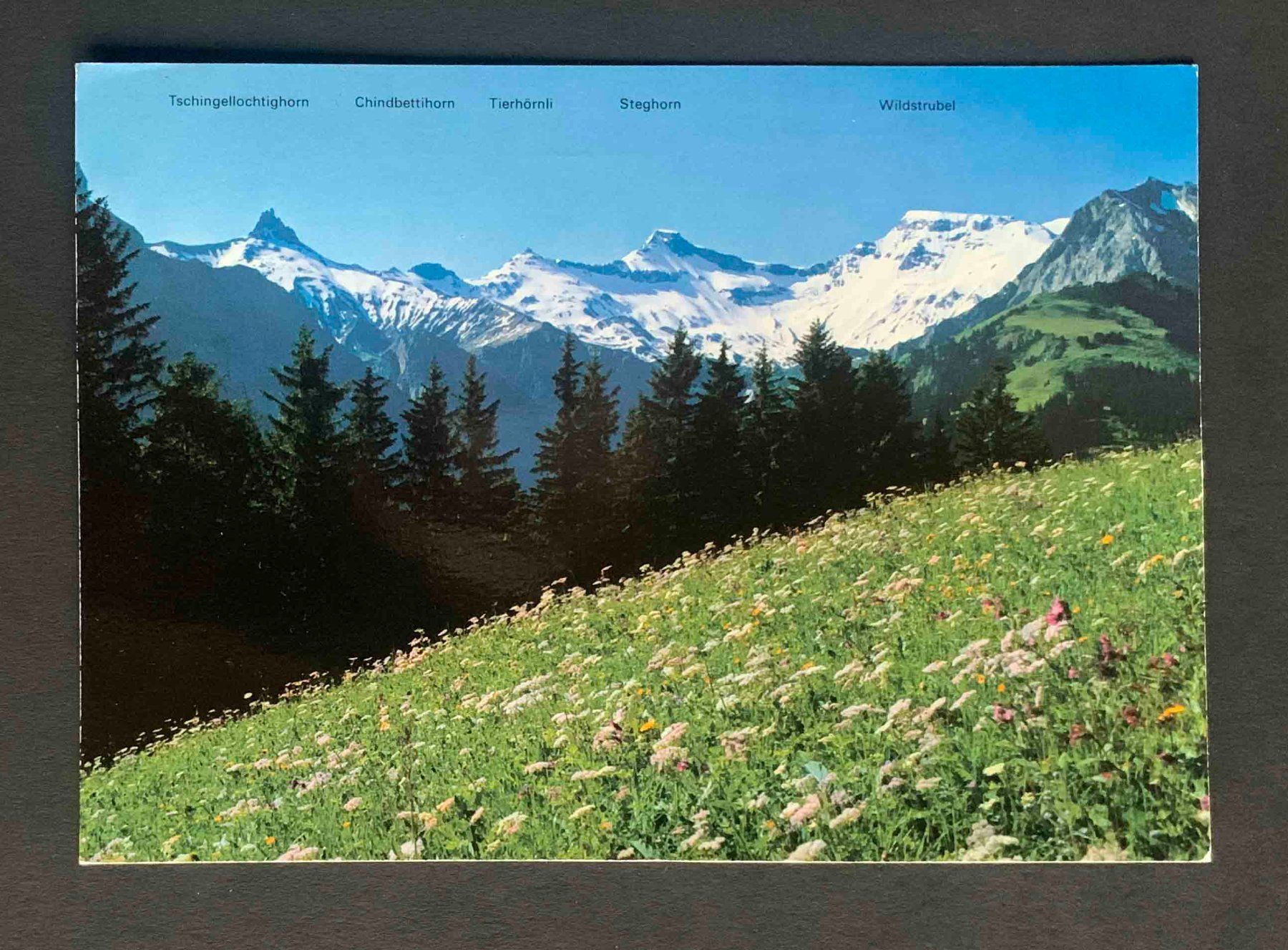 Cartoline postali: AK Bergwiese bei Adelboden – Usato da Goldau venduto da artelier1
