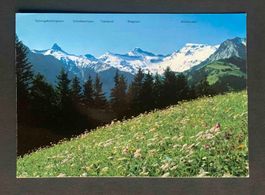 AK Bergwiese bei Adelboden