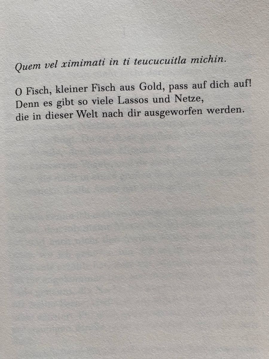 Livres: Fisch aus Gold - J.M.G. Le Clézio – D'occasion à Schwarzenburg par Michellu 5