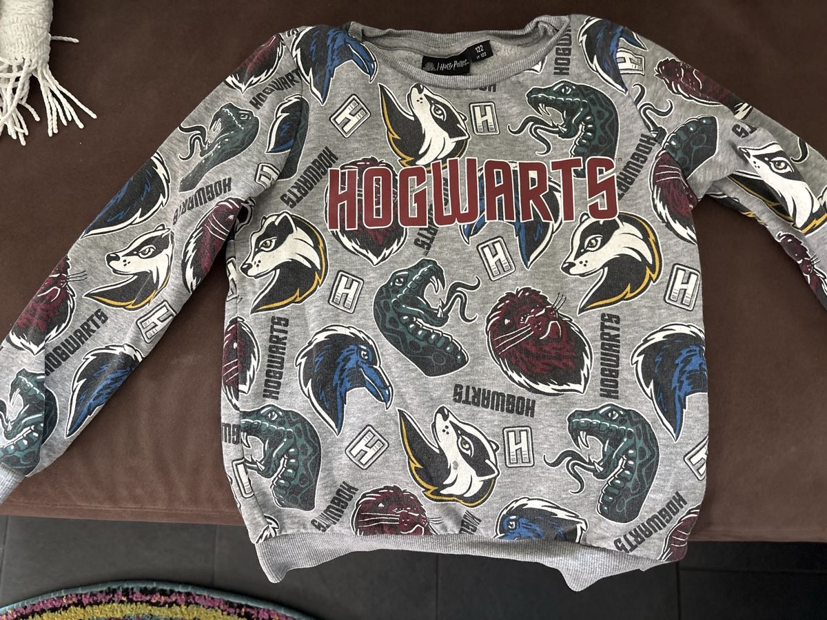 Pullover & Sweatshirts: Harry Potter Pullover – Gebraucht aus Spreitenbach von bea_wrh6