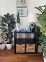 Ikea kallx shelf 