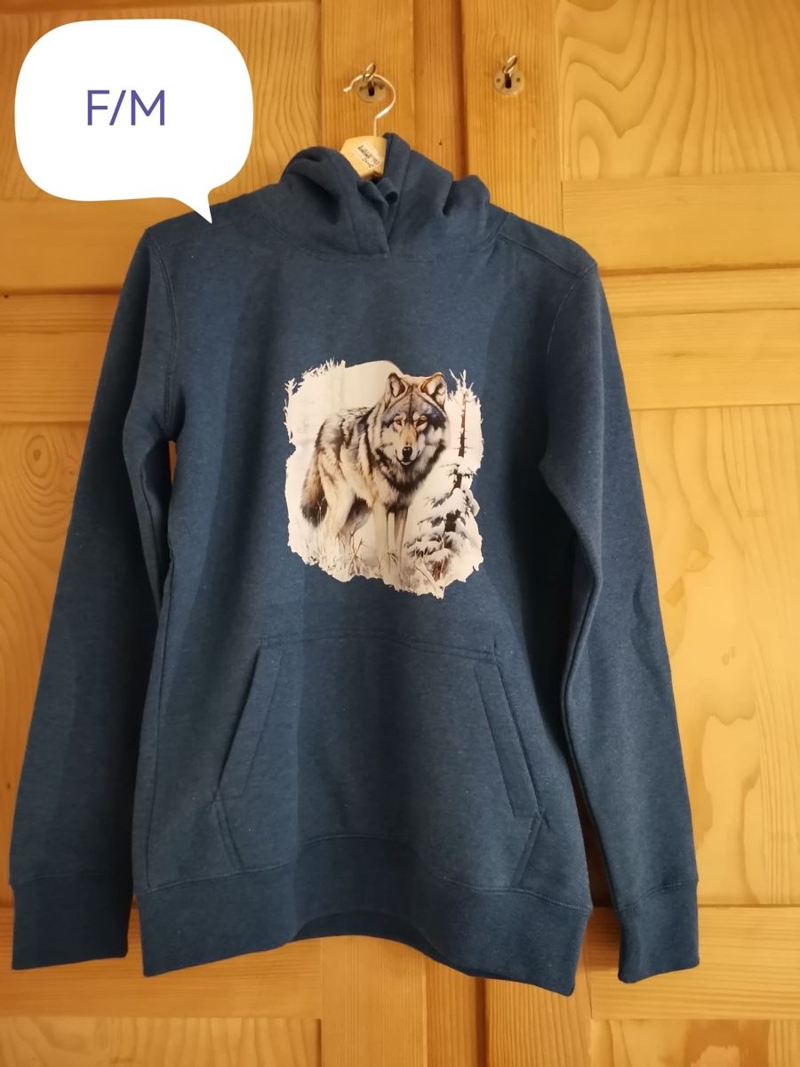 Pullover & Sweatshirts: Pullover Kapuzenpullover Hoodie – Neu und originalverpackt aus Aarwangen von to-hirschi