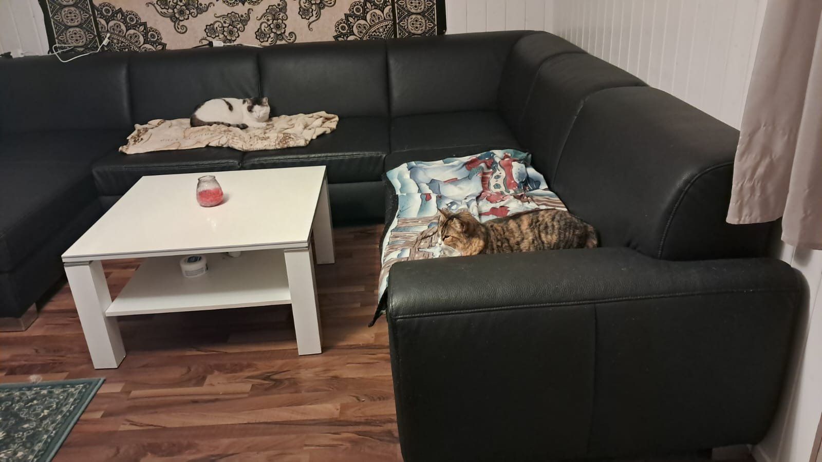 Divani: Grosses Schwarzes Ecksofa mit Katzenspuren. – Usato da Wiesenberg venduto da Naragarth 2