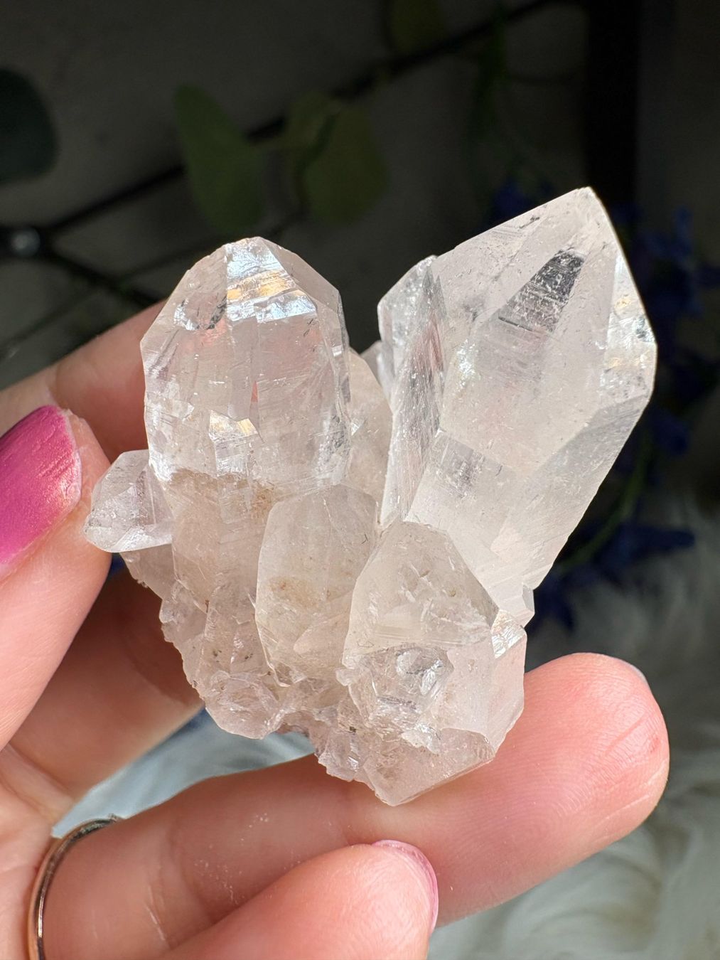 Minerali & Pietre curative: Himalaya-Quarz-Cluster – Nuovo (secondo la descrizione) da Neuheim venduto da m.hald 2
