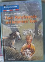 zwei ponyfreunde auf krummer tour