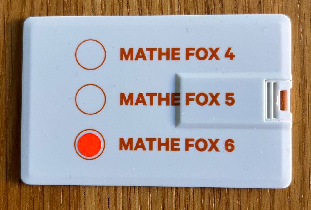 Chiavette USB: Mathe Fox 6 USB-Stick mit Übungsmaterial – Usato da Witterswil venduto da Caspar 1