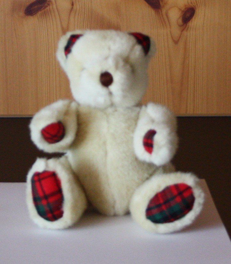 Giocattoli: Teddybär Bär  Gliedmassen beweglich – Usato da Flüelen venduto da Diversicum-Shop