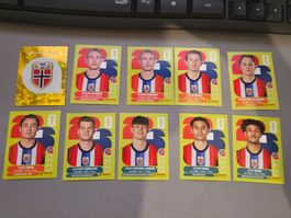 Panini WM 2026 NORWEGEN Sticker