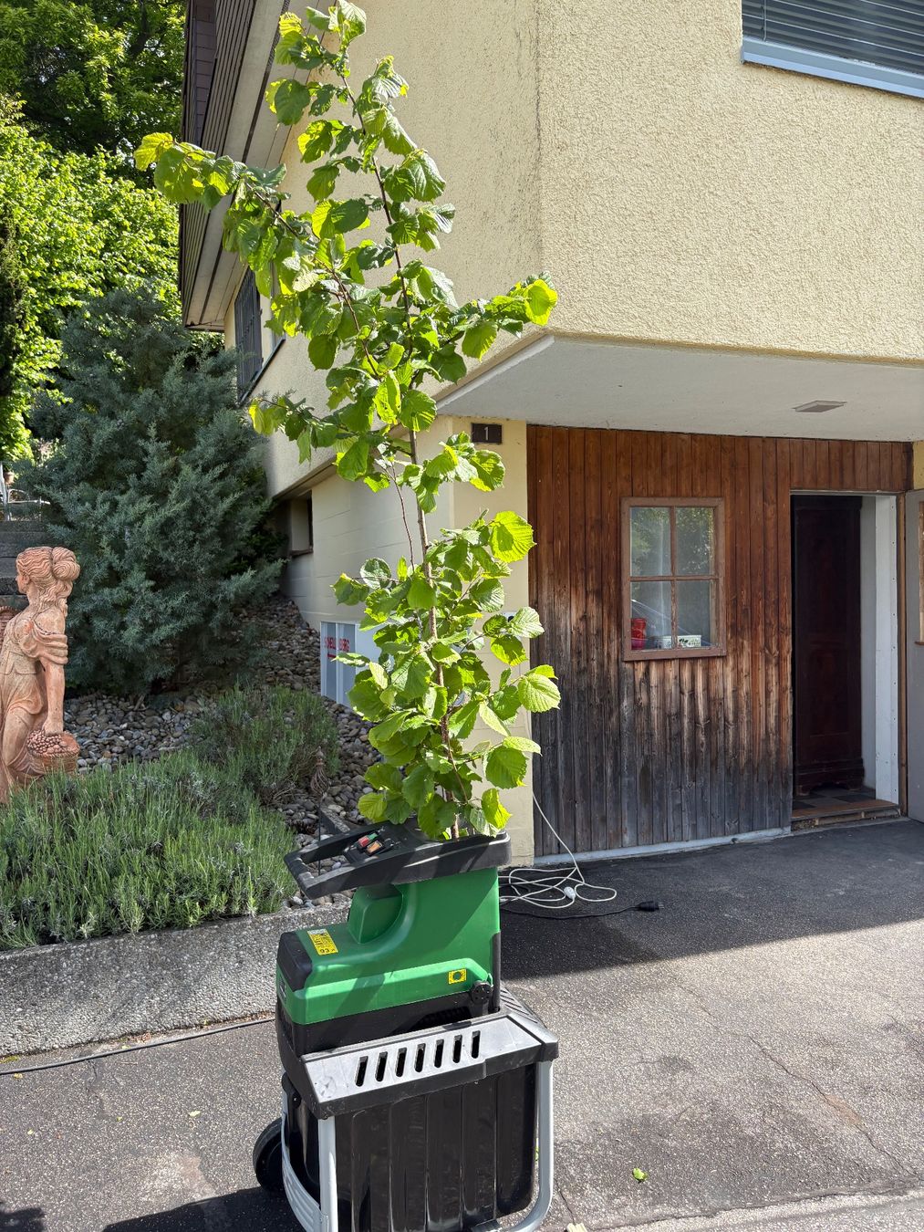 Trinciatrici: OKAY WALZENHÄCKSLER – Usato da Schleinikon venduto da msfwmw2