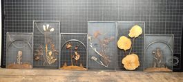 6 Wunderschöne alte Blumenbilder im Glas