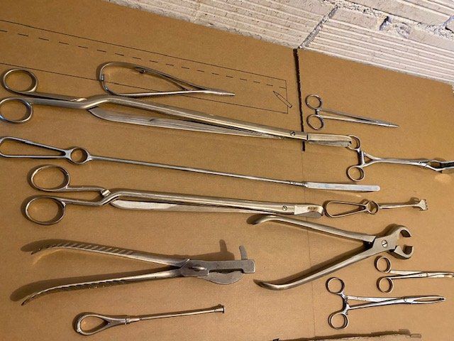 Swiss Tutti gli attrezzi: LOT TIERARZT  INSTRUMENTE – Usato da Chur venduto da silbermon 5