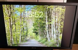 Dell Monitor 24 Zoll P2411H