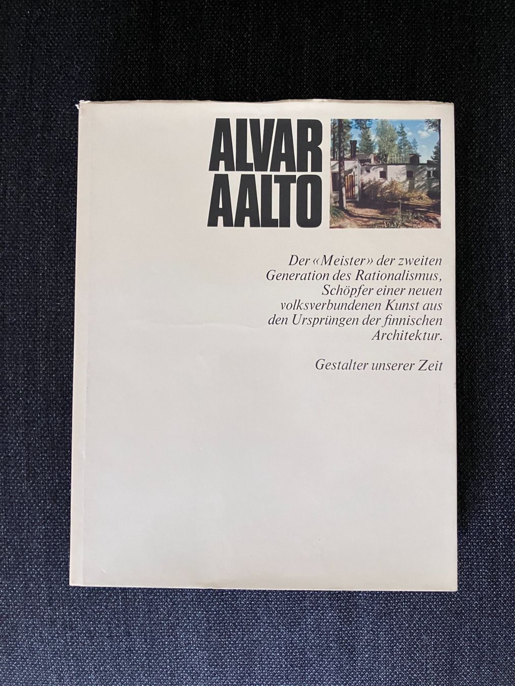 Libri: Alvar Aalto – Usato da Adliswil venduto da lauryyrual