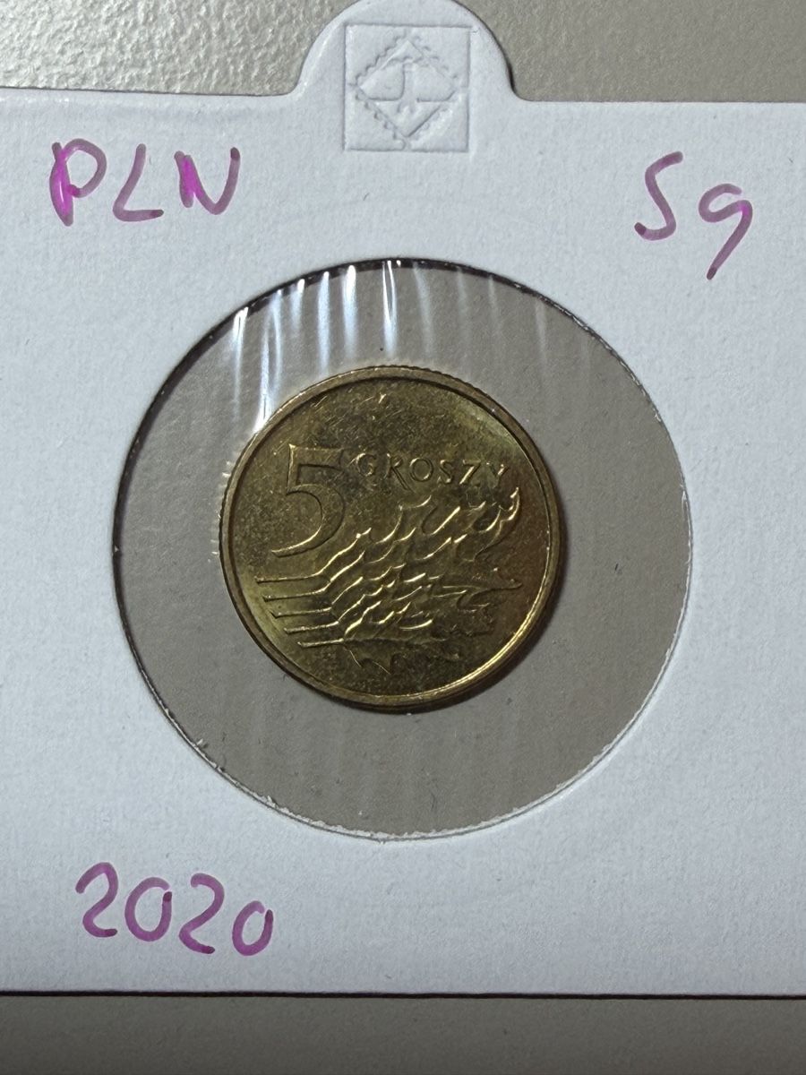 Tutti le monete: Pologne - 5 groszy - 2020 – Usato da Payerne venduto da Mike1682