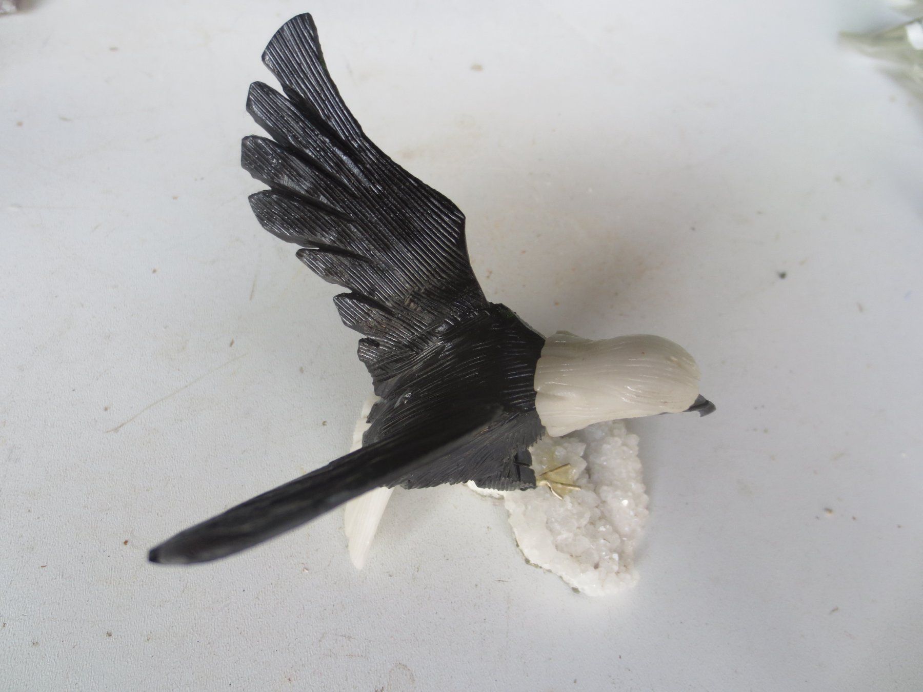 Mineralien & Heilsteine: Vogel auf Stein – Gebraucht aus Weier im Emmental von waefler03