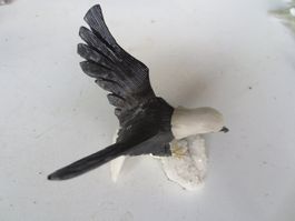 Vogel auf Stein