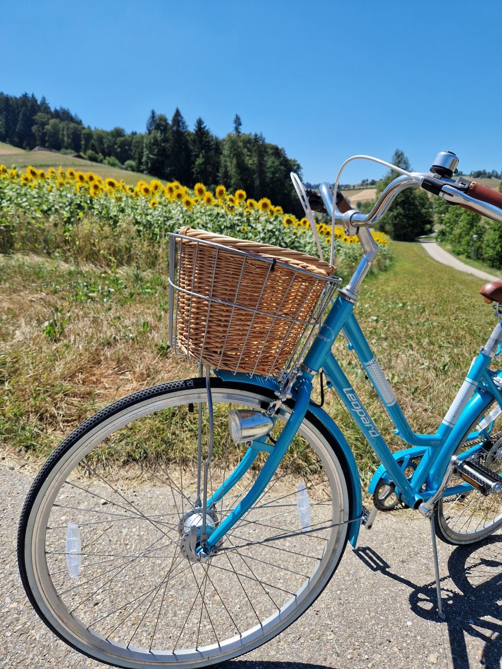 Leopard Biciclette: Zu Verkaufen Damenvelo – Usato da Niederönz venduto da nydi65 2