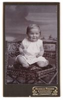 Fotografie Heinrich Meister, Bischofszel