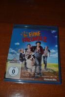 Fünf Freunde 2