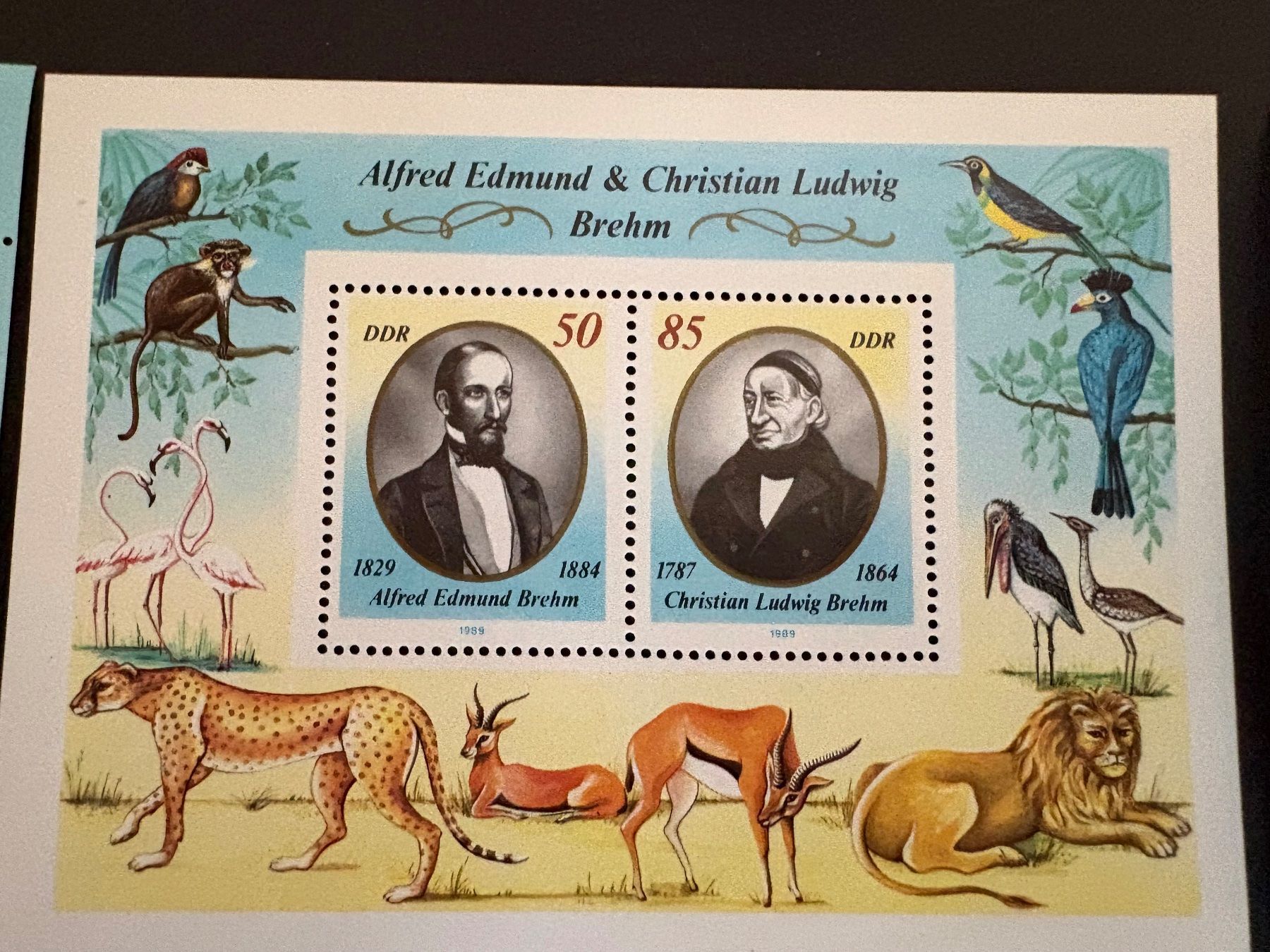 Alle Briefmarken: Briefmarkenblöcke DDR – Gebraucht aus Steinmaur von Nicorutishauser 6