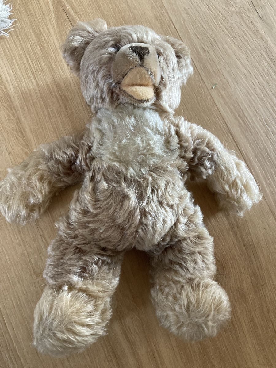 Giocattoli: Schöner alter Teddybär – Usato da Wichtrach venduto da Queensparkunite