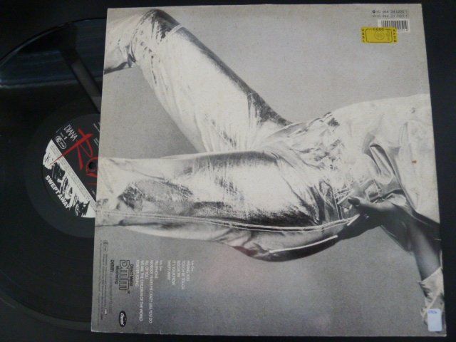 Dischi in vinile: Diana Ross - Swept away  (VG++) – Usato da Au ZH venduto da sikoku 1