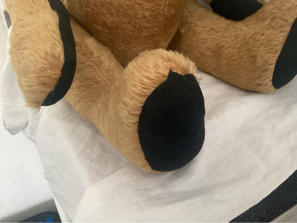 Jouets: ALTER TEDDY – D'occasion à Münchenstein par NoSu98 6