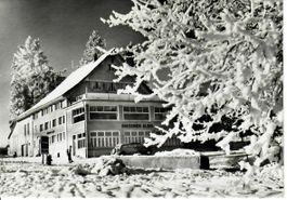 Hotel Hirschen, Albis