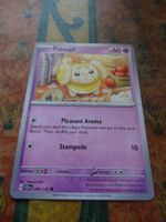 POKEMON  Fidough    H  SCR EN   066/142   HP60   2024