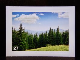 MIGROS MANIA Nature Detectives Nr. 27