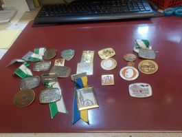 Fasnachts Plaketten Sammlung - Viele Jahrgänge und Sujets