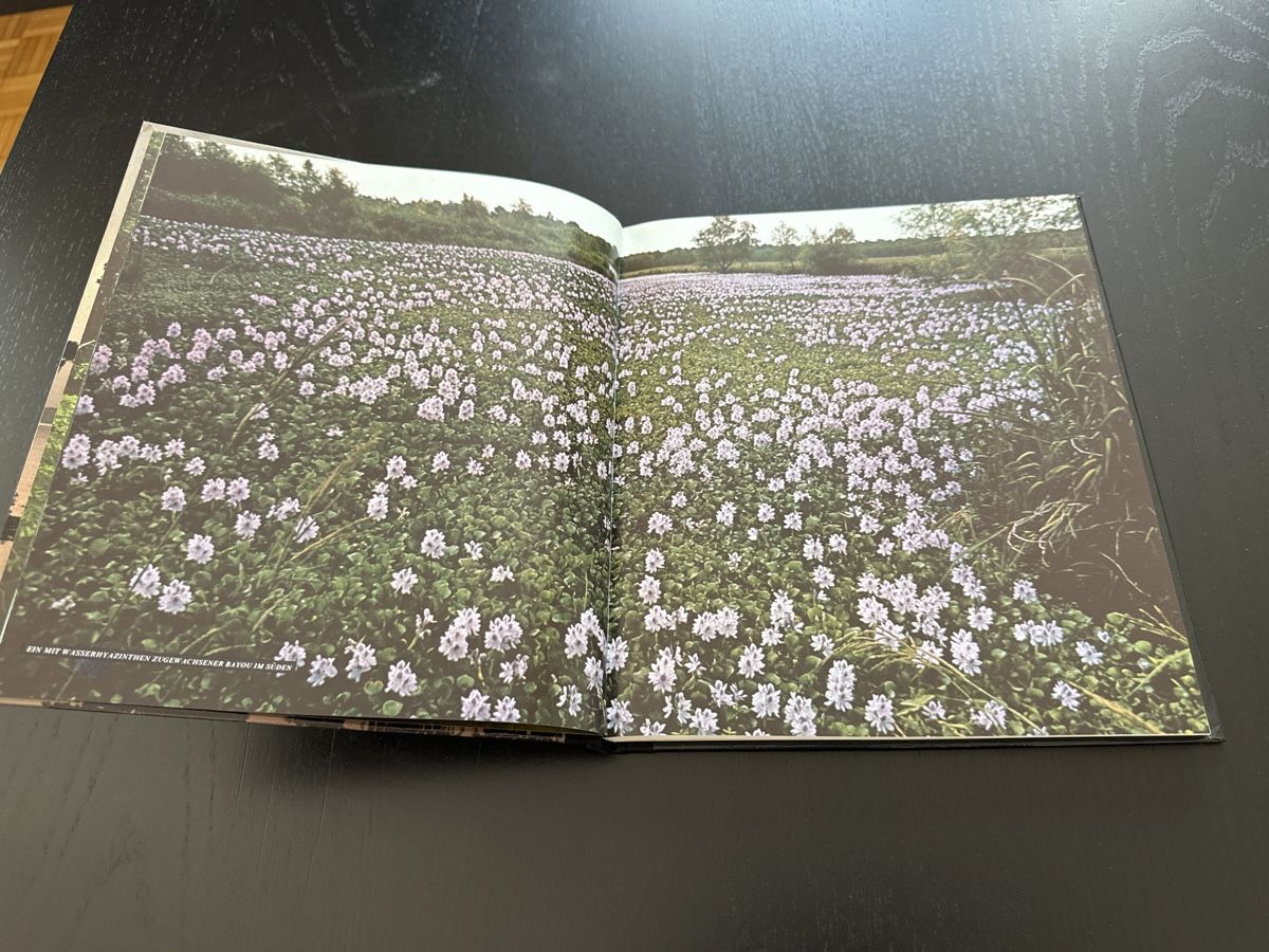 Libri: Das Mississippi Delta – Usato da Erstfeld venduto da Uhu1980 1