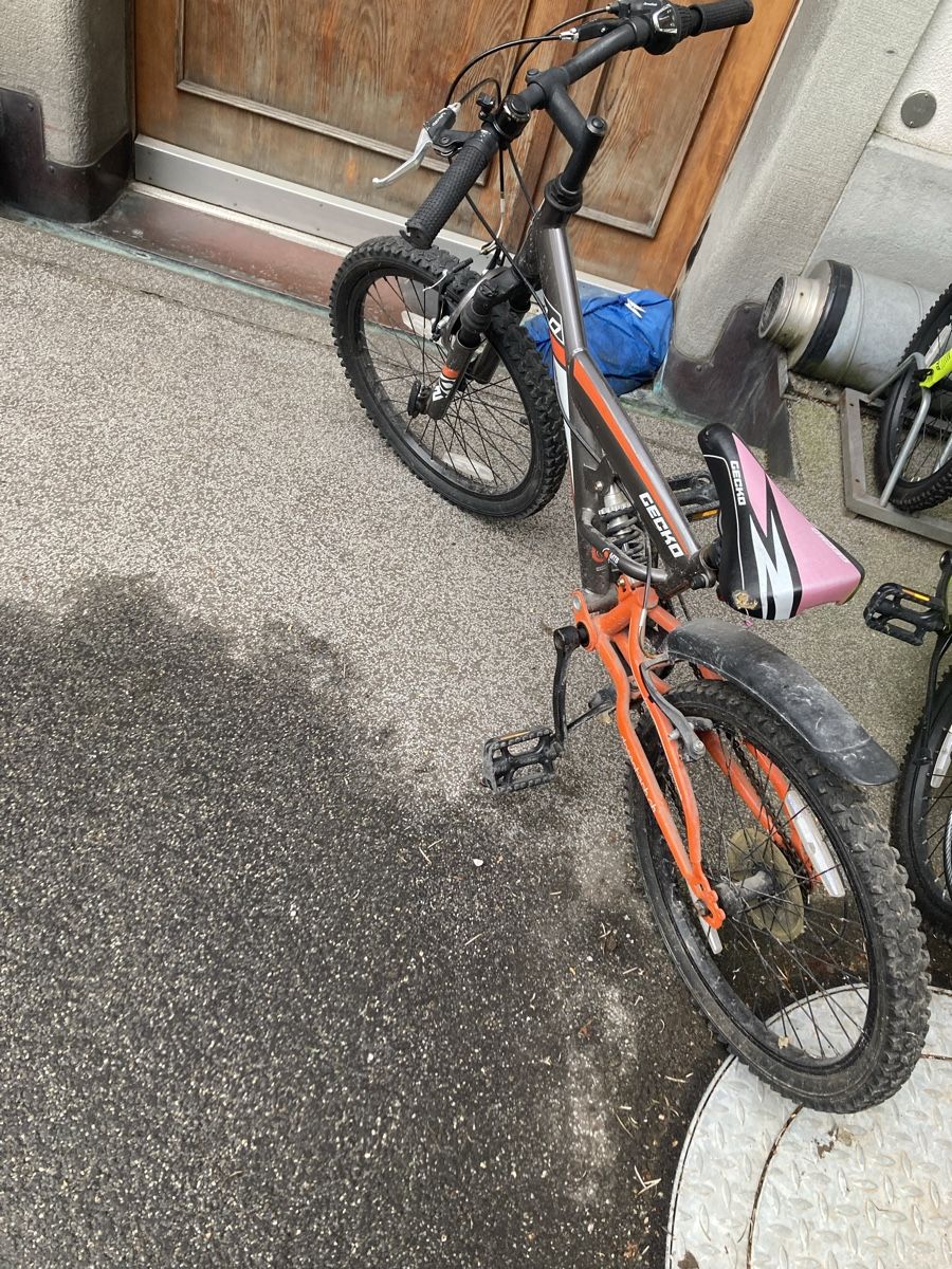 Biciclette: Mountainbike Kinder - Kindervelo – Usato da Zürich venduto da natida78 1