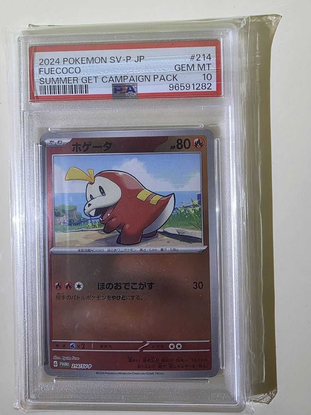 Pokémon Carte collezionabili: Pokemon PSA 10 Sequential Set 2024 Summer Get Campaign JP – Nuovo (secondo la descrizione) da Dintikon venduto da Takeit79 6