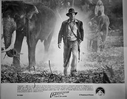 Autographe Harrison Ford: Indiana Jones
