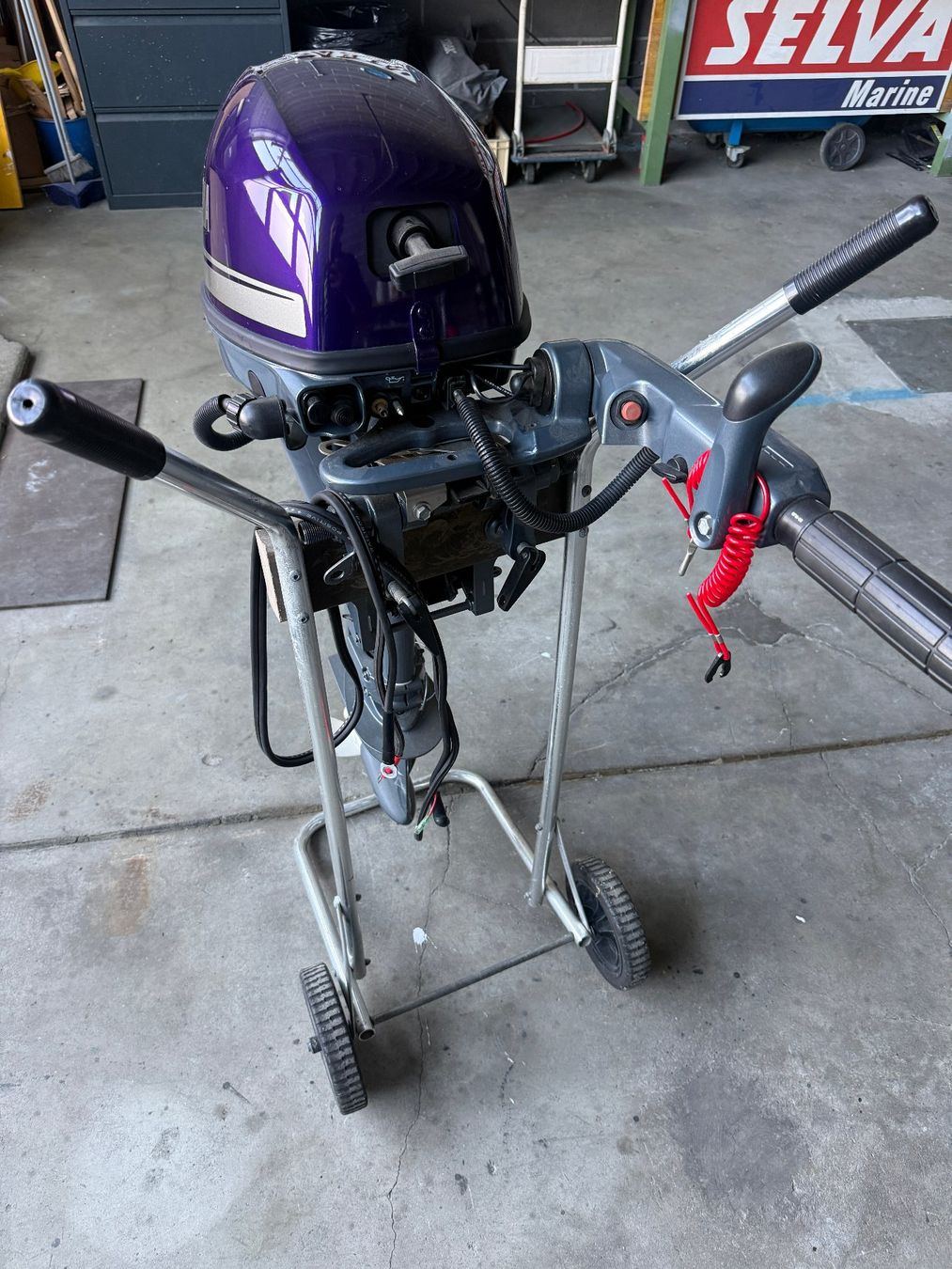 Yamaha Moteurs: Yamaha 8 PS – D'occasion à Quartino par 5franc 3