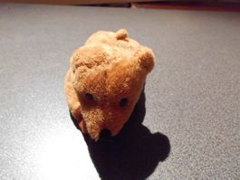 Bär hellbraun, liegend, Magneten in den