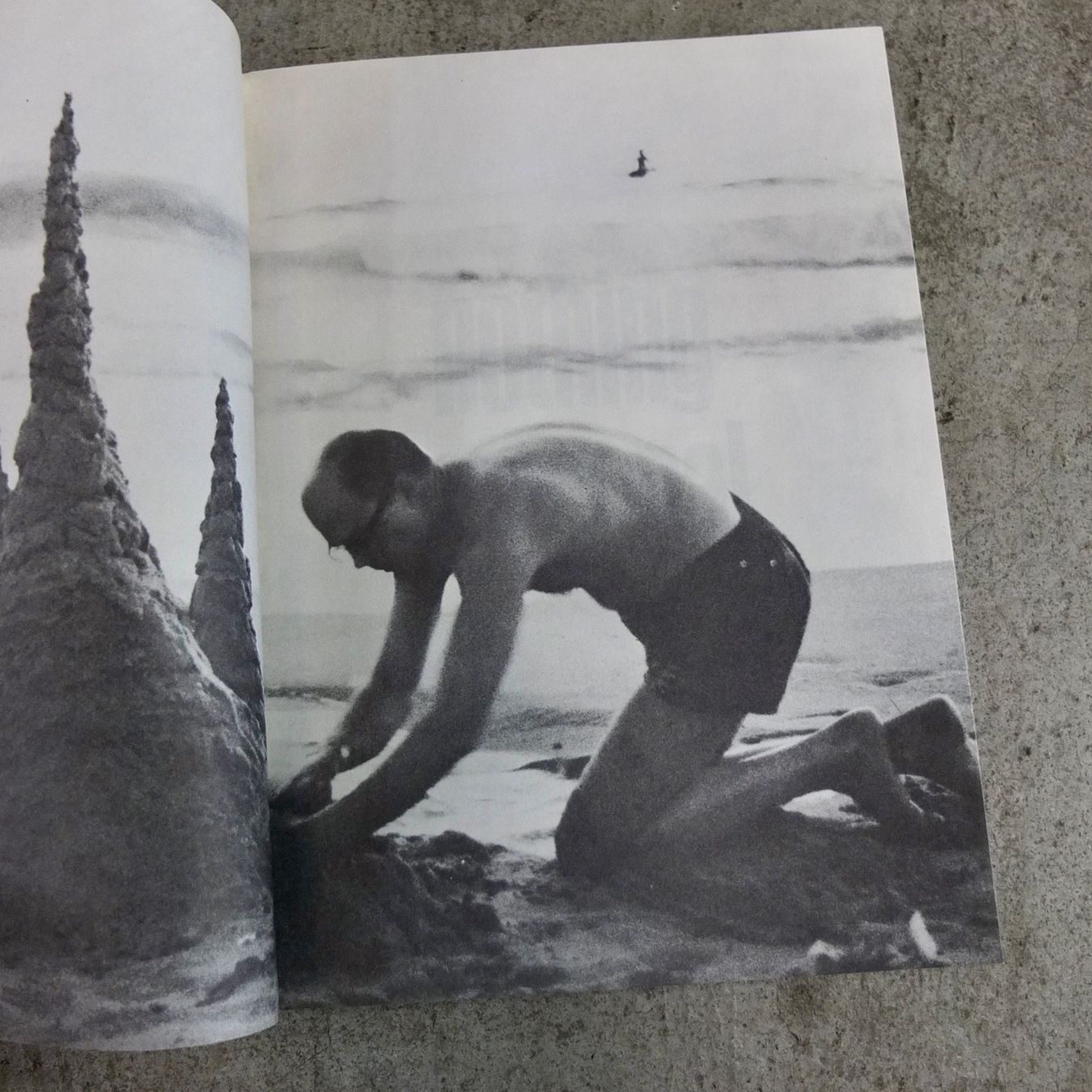 Libri: Avedon & Baldwin, Nothing Personal (Dell), 1965 – Usato da Basel venduto da Brocki-auf-dem-Wolf 6
